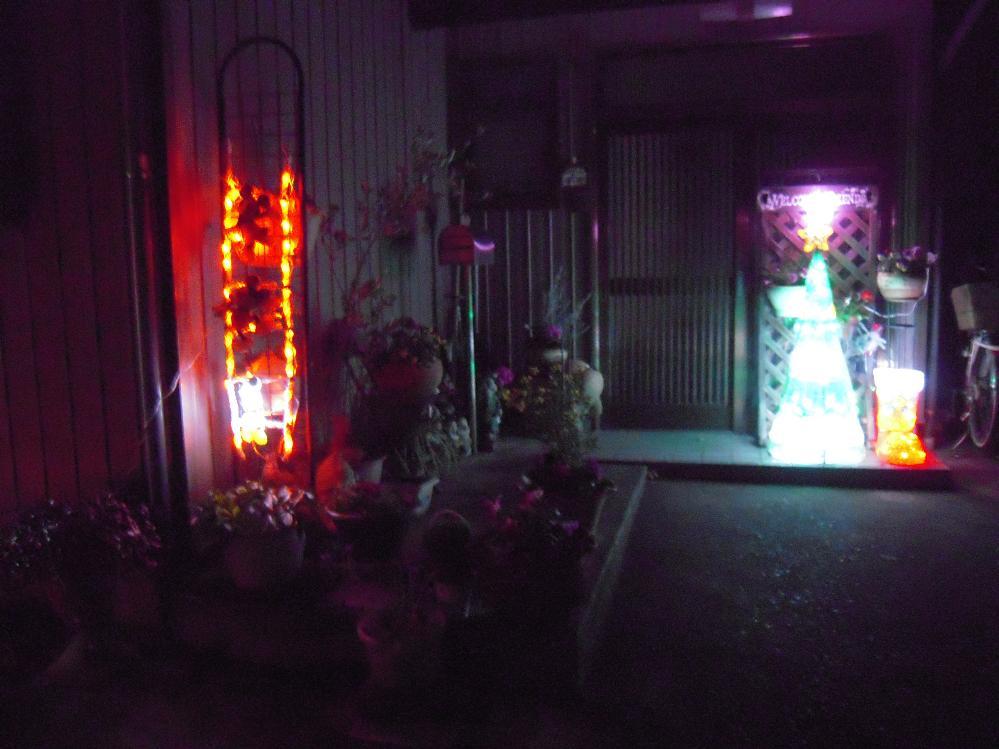 祖父江銀杏 041.jpg